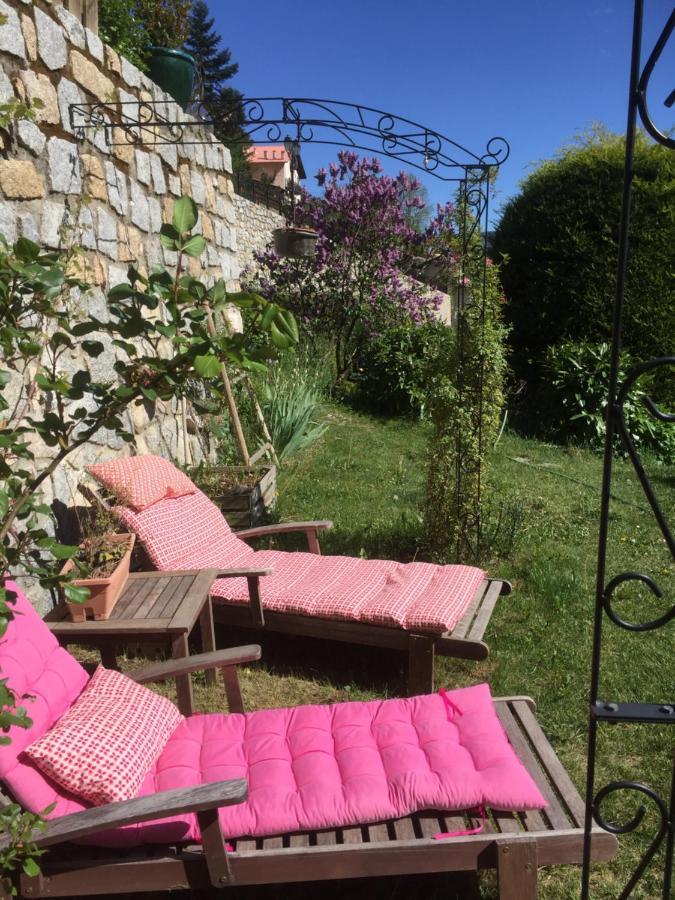 Rez De Jardin De Chalet Bois , Calme Et Verdure ! Saint-Martin-Vésubie エクステリア 写真